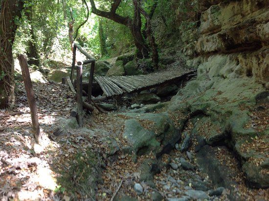 Ιερά Μονή Κοιμήσεως της Θεοτόκου Αγκαράθου