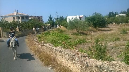 Αρχαιολογικό Μουσείο Αίγινας