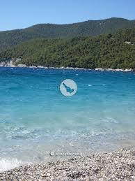 Δίτροπο