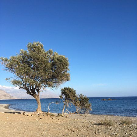 Παραλία Κόρακας