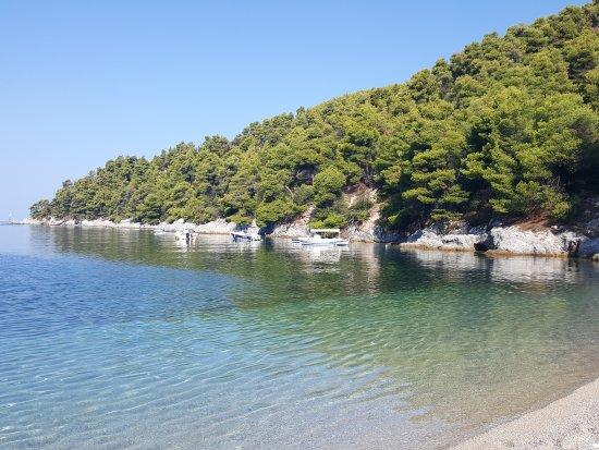 Παραλία Αγνώντας