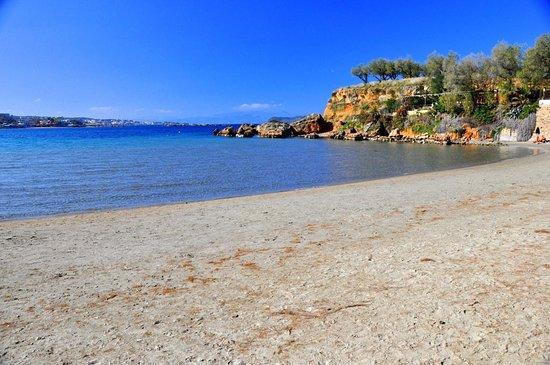 Agia Marina Donkey Sanctuary Crete