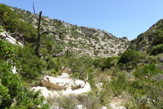 Φαράγγι Χαυγα Καβουσίου