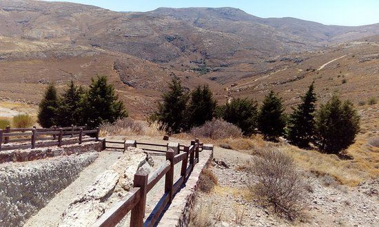 Μουσείο Φυσικής Ιστορίας ΑποΛιθωμένου Δάσους
