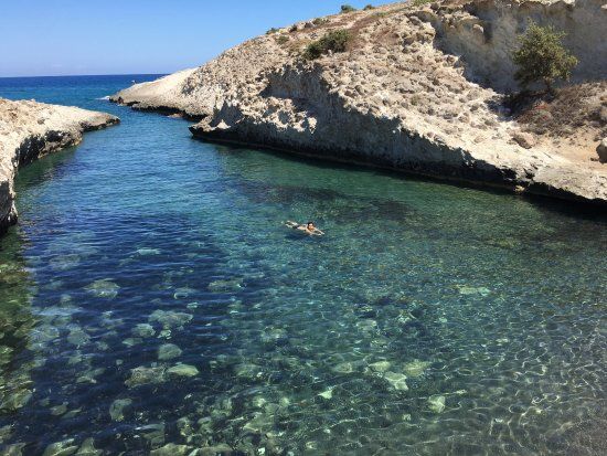 Φασκόμηλο