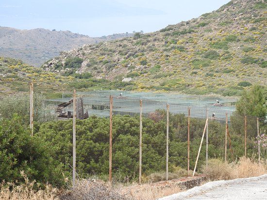 Ναός της Αφαίας